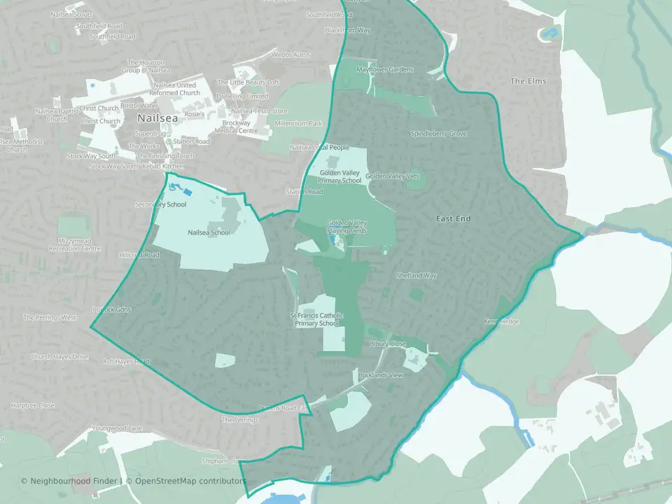 Nailsea Golden Valley