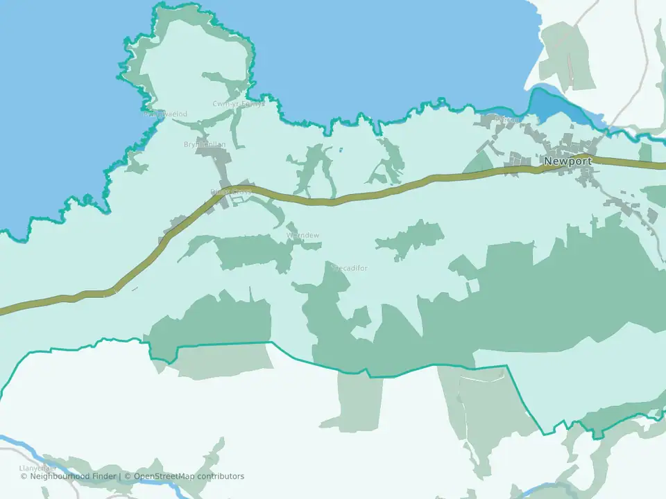 Newport and Dinas
