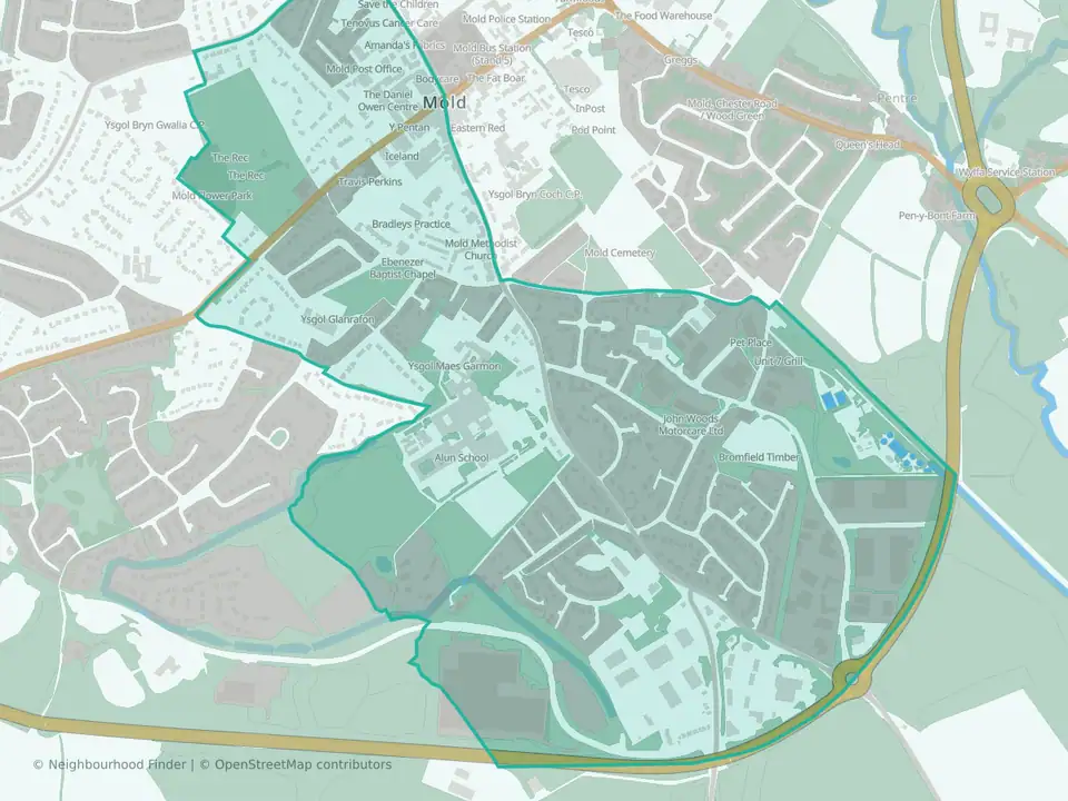 Mold: Broncoed