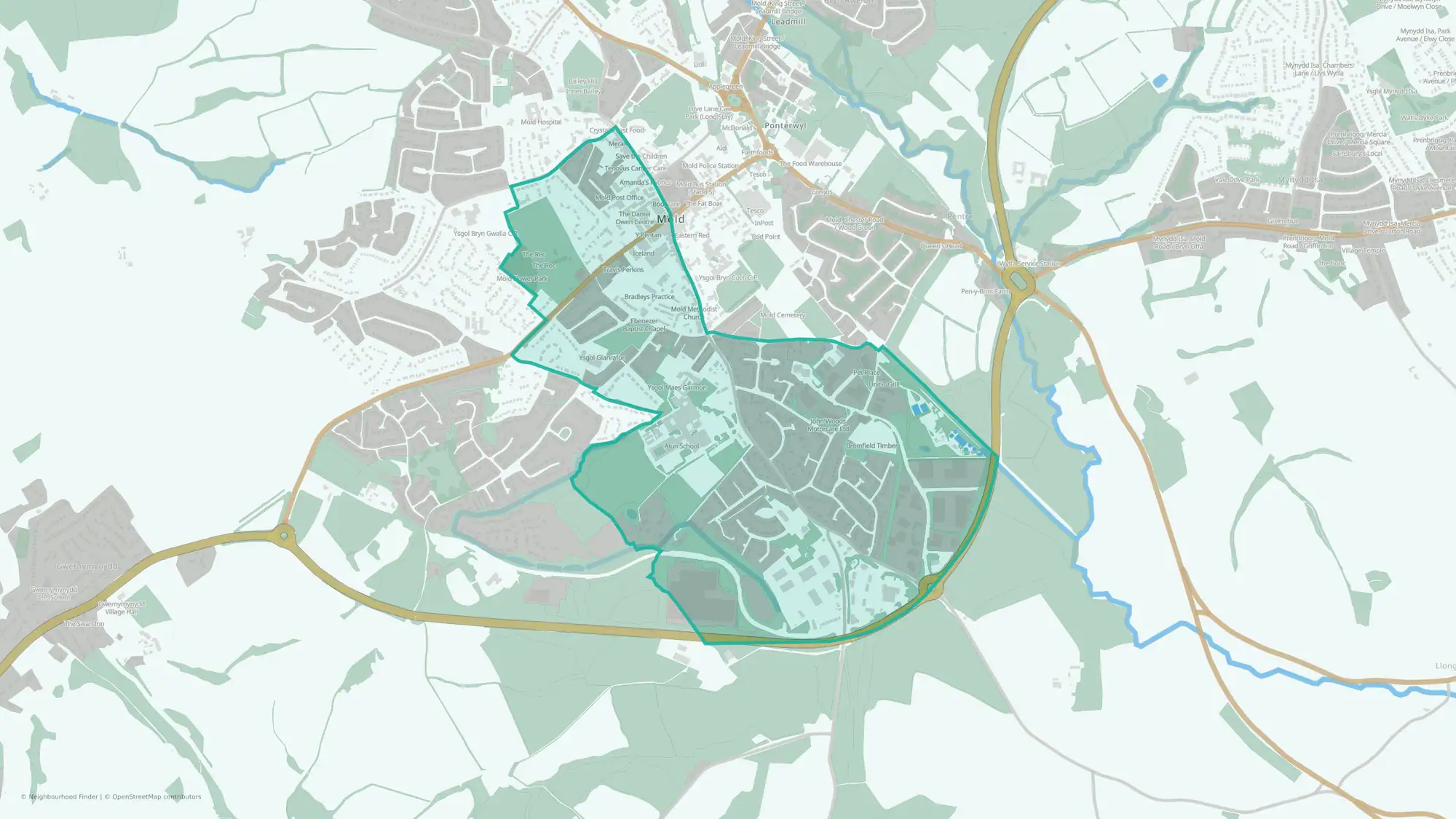 Mold: Broncoed